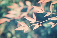 爱沙尼亚主场小胜维尔京群岛，迎接晋级良机