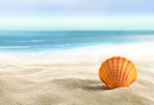 李可梅花三射，带领北京人和大胜