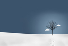 国际足球赛事中球队的精彩对抗：热血、智慧与荣耀的碰撞