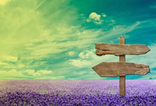 独行侠将迎战掘金争夺季后赛资格